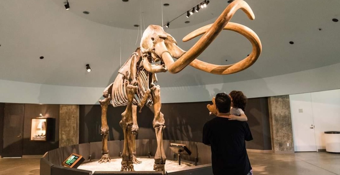 museos en Los Ángeles