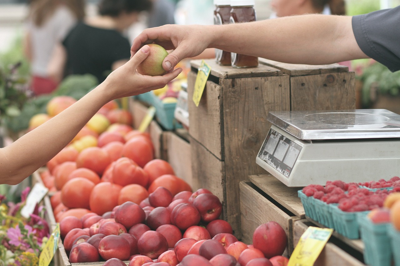 apoyo económico en California