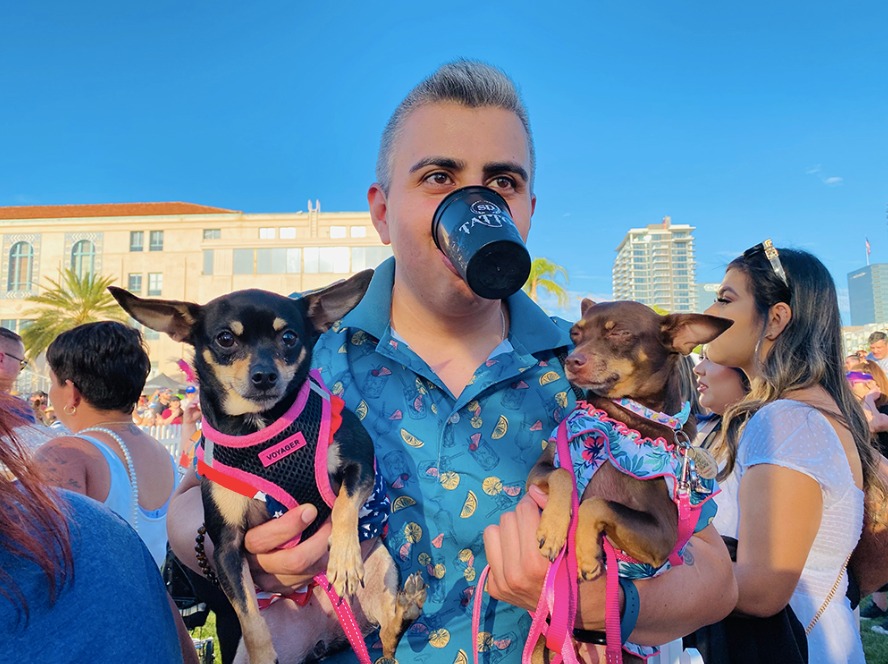 Taco Fest California Concurso de Chihuahuas