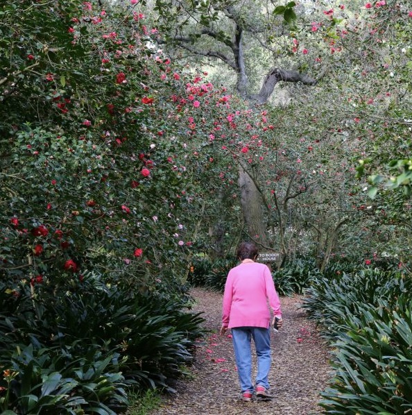 día de las madres mamá descanso gardens