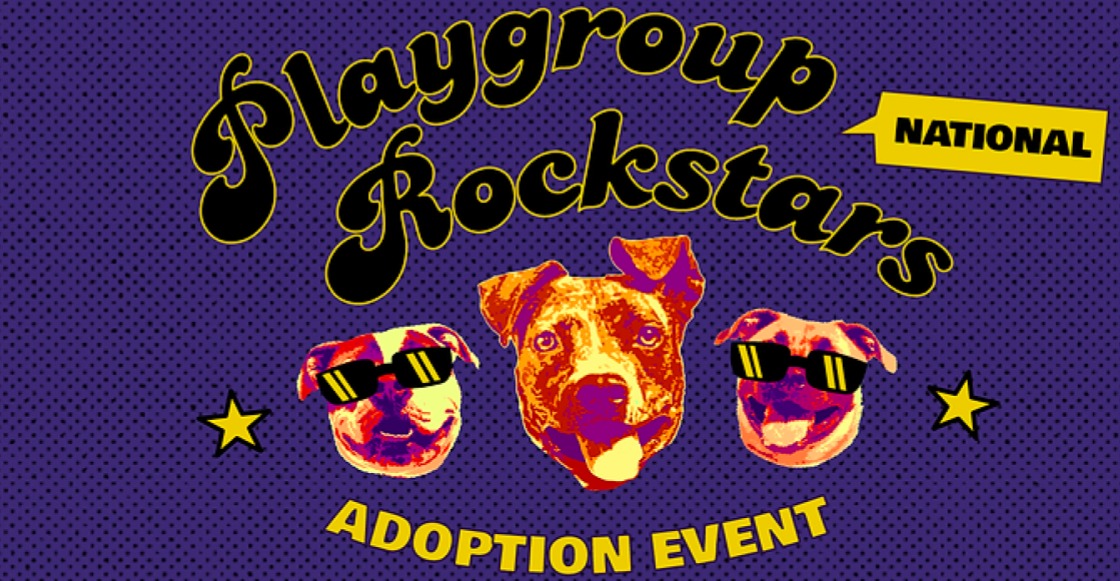 evento adopción de perritos