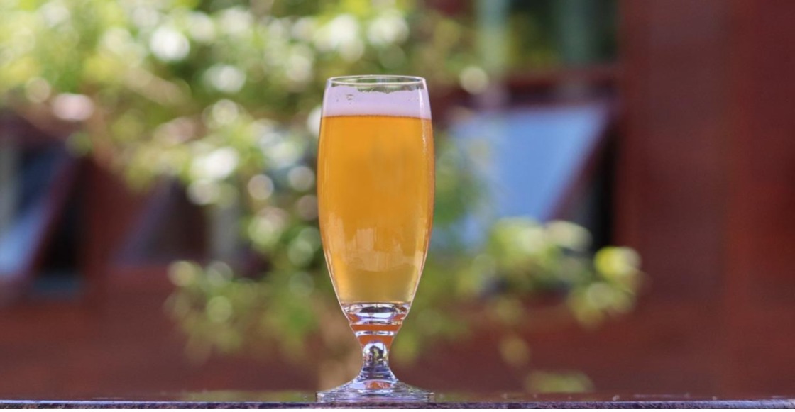 estados que consumen más cerveza en Estados Unidos