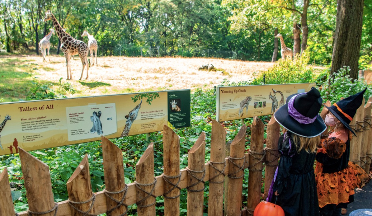 Halloween Estados Unidos zoo jardín botánico