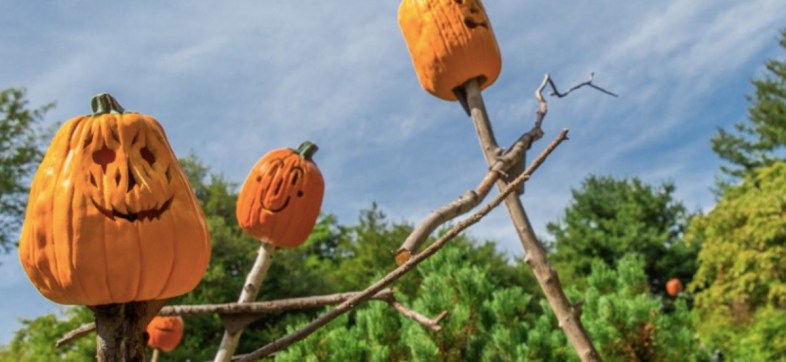 Halloween Estados Unidos zoo jardín