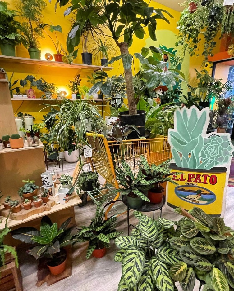Latinx With Plants Los Ángeles