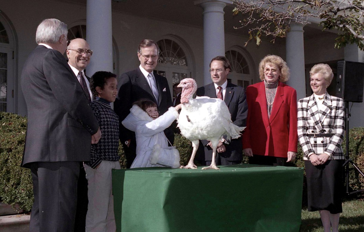 Día de Acción de Gracias perdonar al pavo