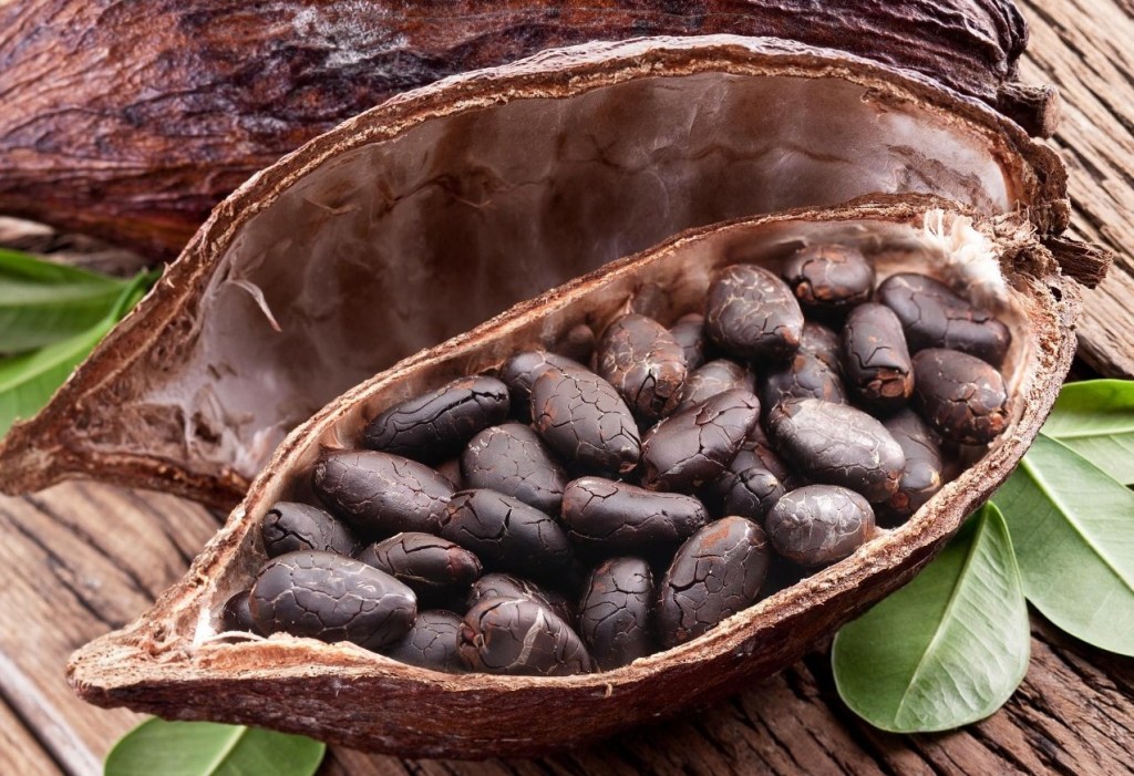 chocolates cacao metales pesados