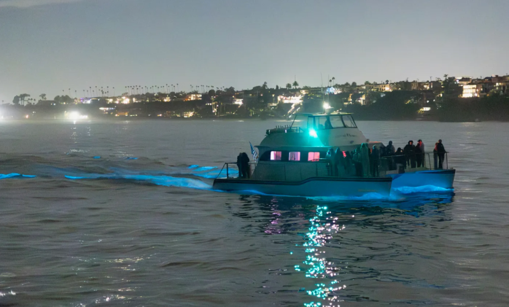 bioluminiscencia en el sur de California