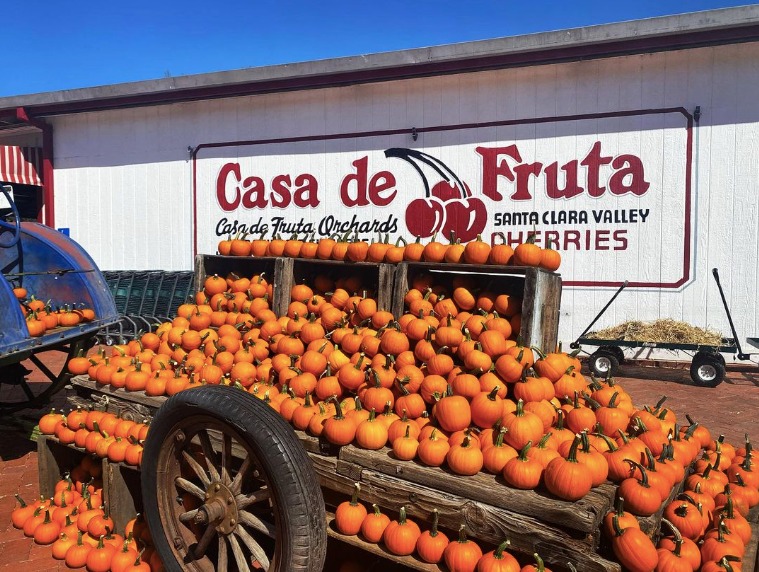 calabazas de Halloween calabaza de Halloween Halloween California