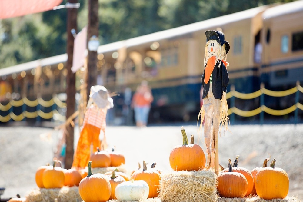 calabazas de Halloween calabaza de Halloween Halloween California