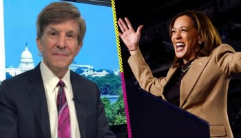 Allan Lichtman y su método para predecir sismos que anticipa triunfo de Kamala Harris