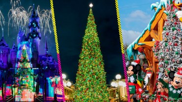 Disney Festival of Holidays Navidad