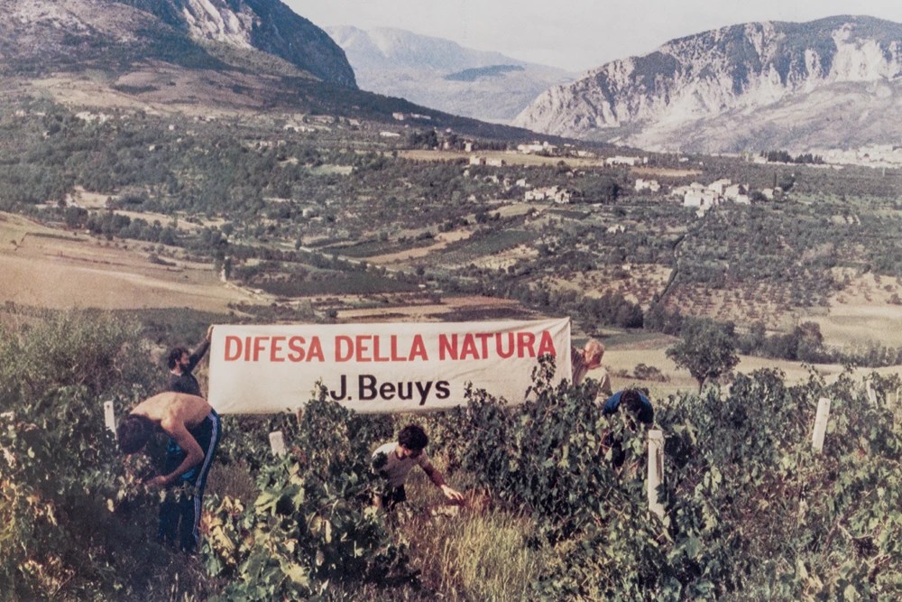 Joseph Beuys Joseph Beuys: En defensa de la naturaleza cambio climático medio ambiente The Broad