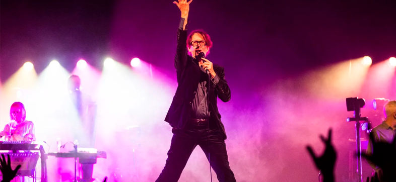 Pulp