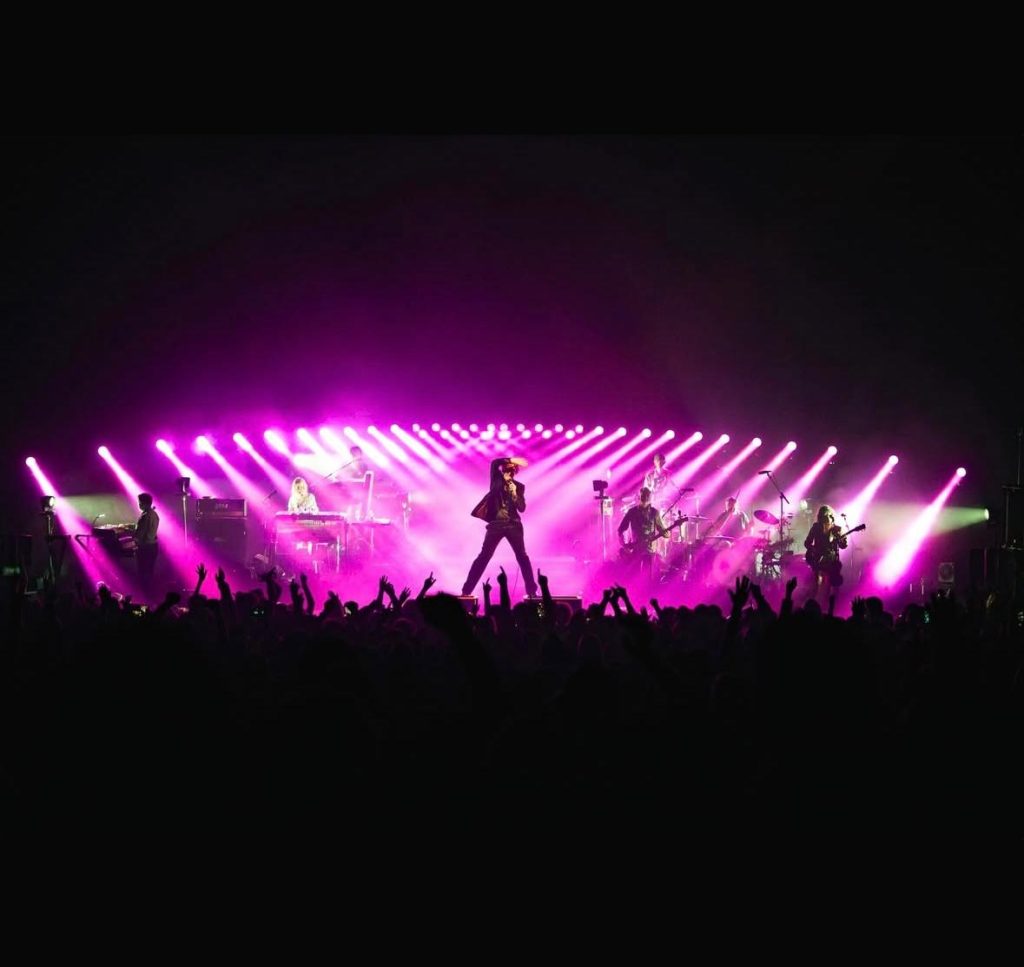 Pulp