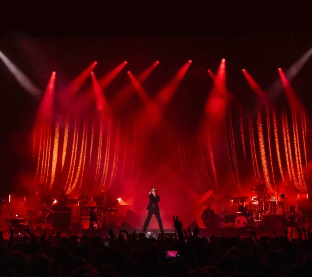 Pulp